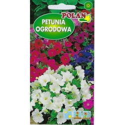Petunia-ogr.-Relaks-F1-0.05g-ST/Pl